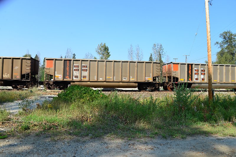 DSC_8136.JPG