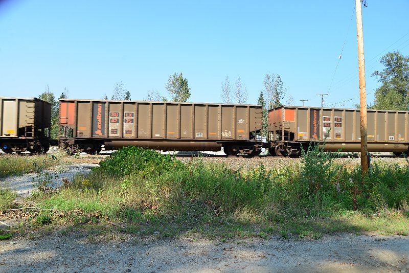 DSC_8137.JPG