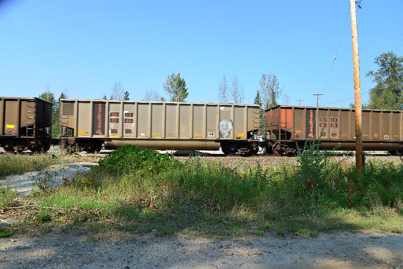 DSC_8138.JPG