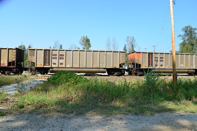 DSC_8141.JPG