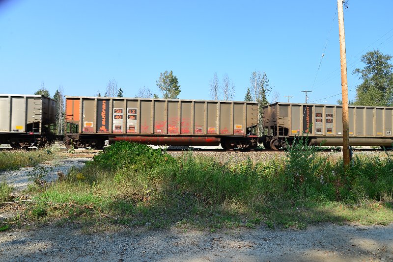 DSC_8142.JPG