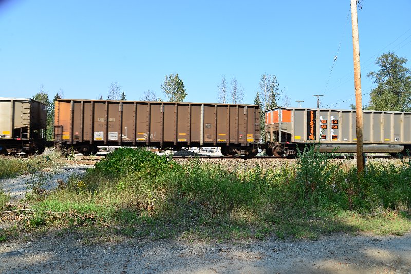 DSC_8146.JPG