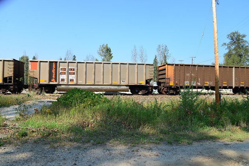 DSC_8147.JPG