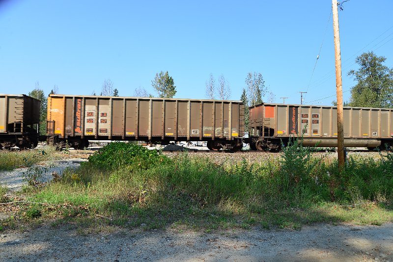 DSC_8150.JPG