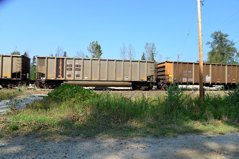 DSC_8159.JPG