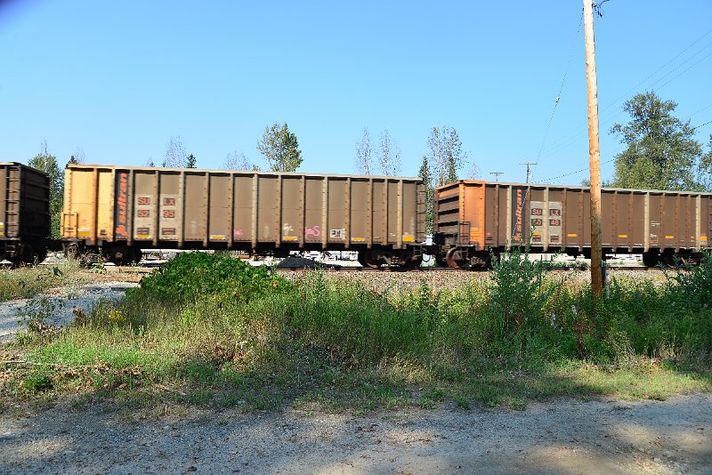 DSC_8168.JPG