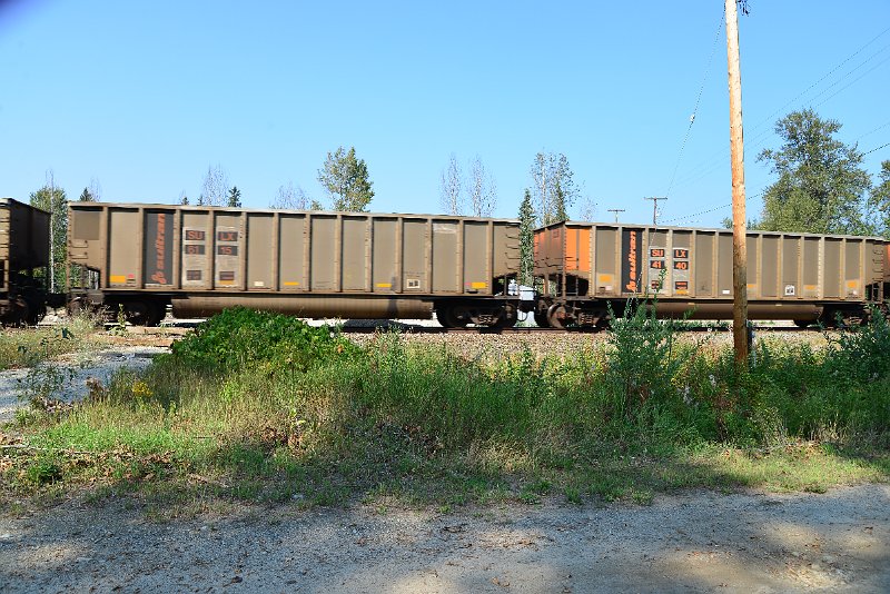 DSC_8174.JPG