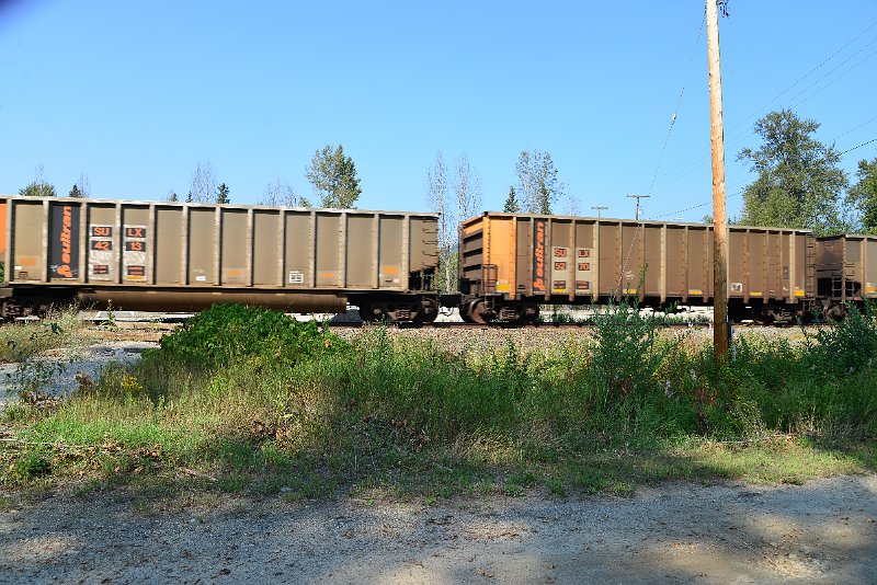 DSC_8181.JPG