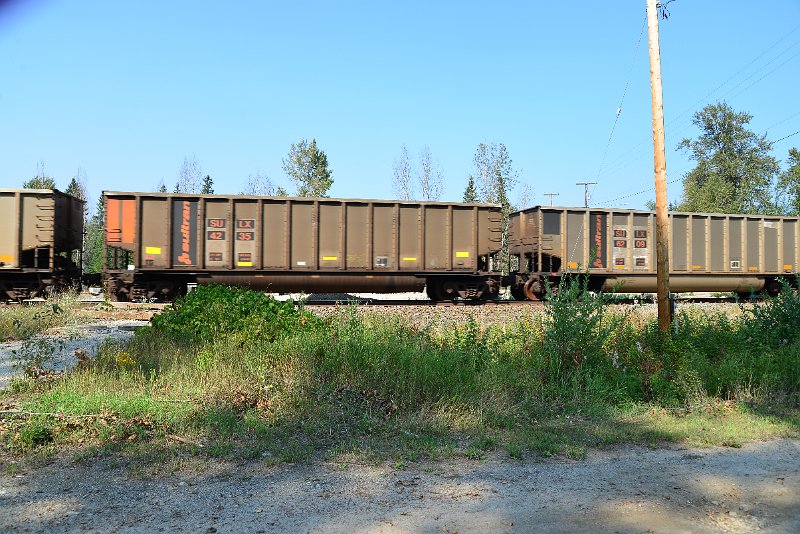 DSC_8184.JPG