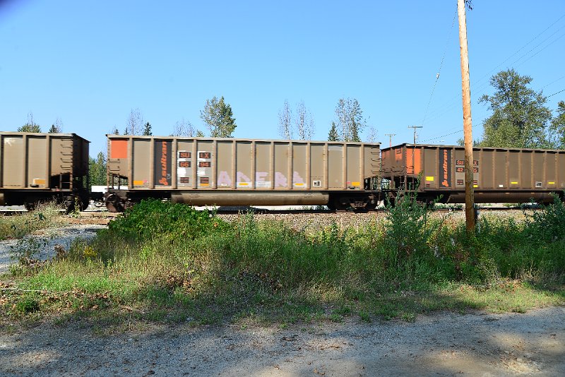 DSC_8185.JPG
