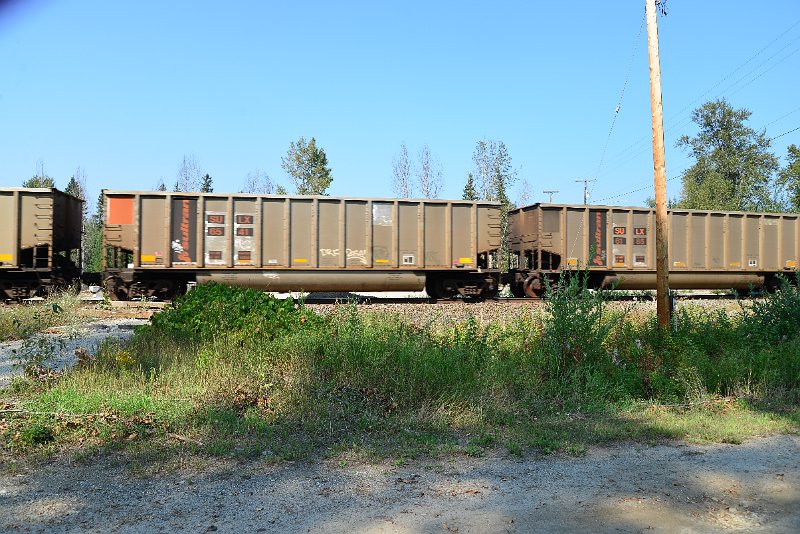 DSC_8187.JPG