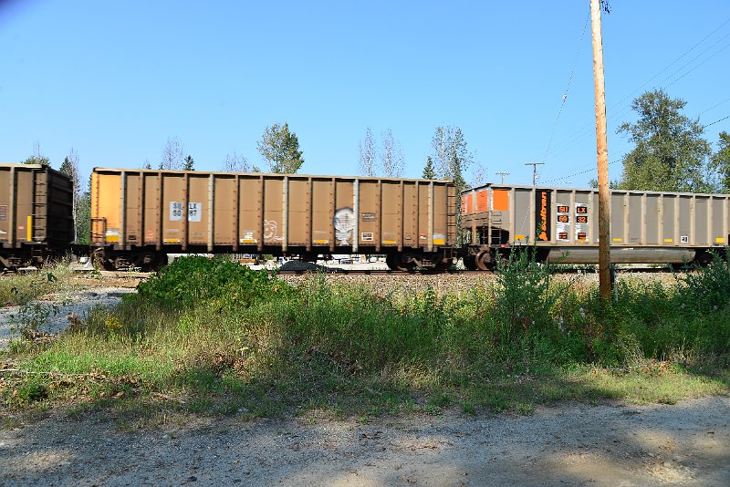 DSC_8192.JPG