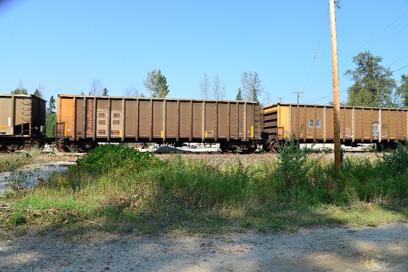DSC_8193.JPG