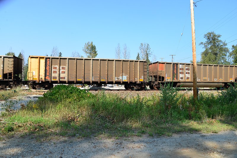 DSC_8195.JPG