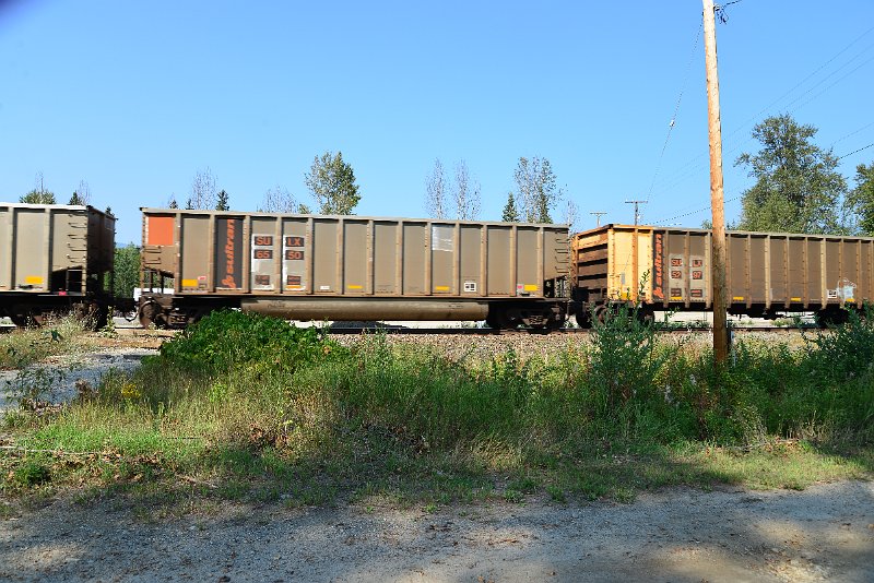 DSC_8196.JPG