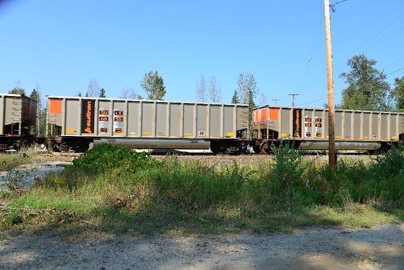 DSC_8198.JPG