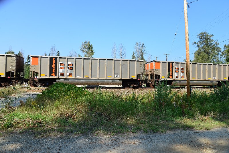 DSC_8199.JPG