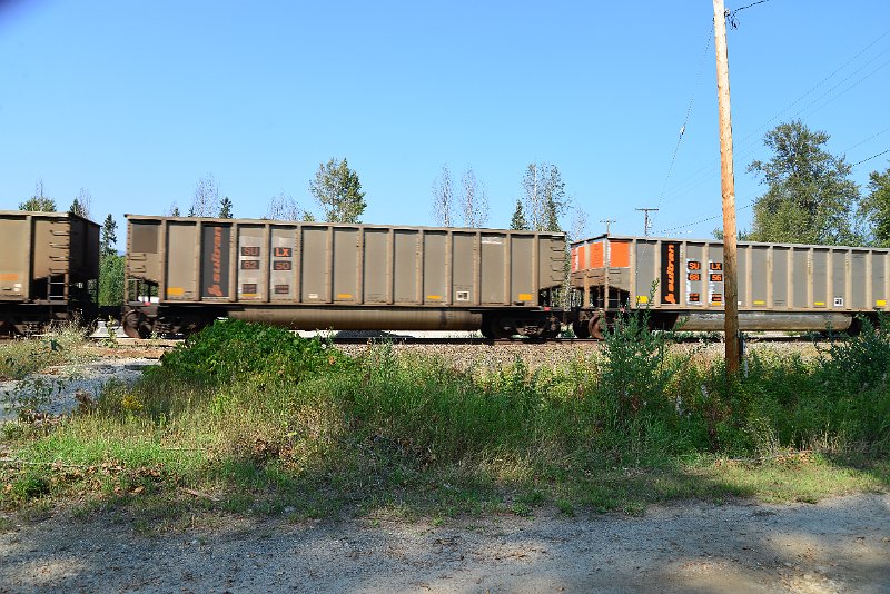 DSC_8201.JPG