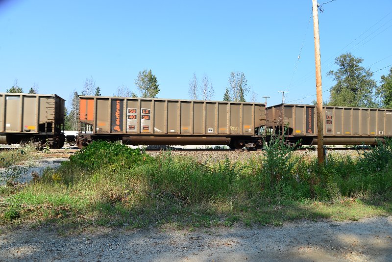 DSC_8202.JPG