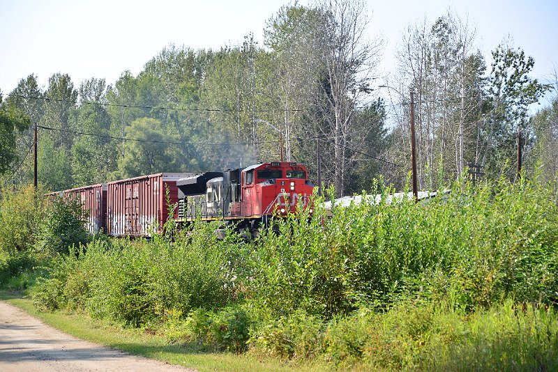 DSC_8206.JPG
