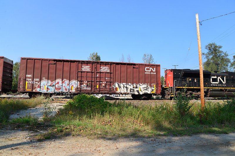 DSC_8210.JPG