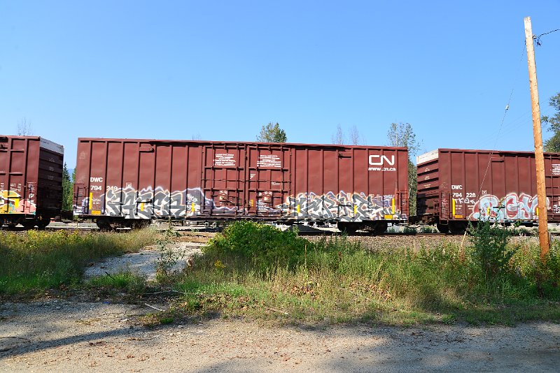 DSC_8211.JPG