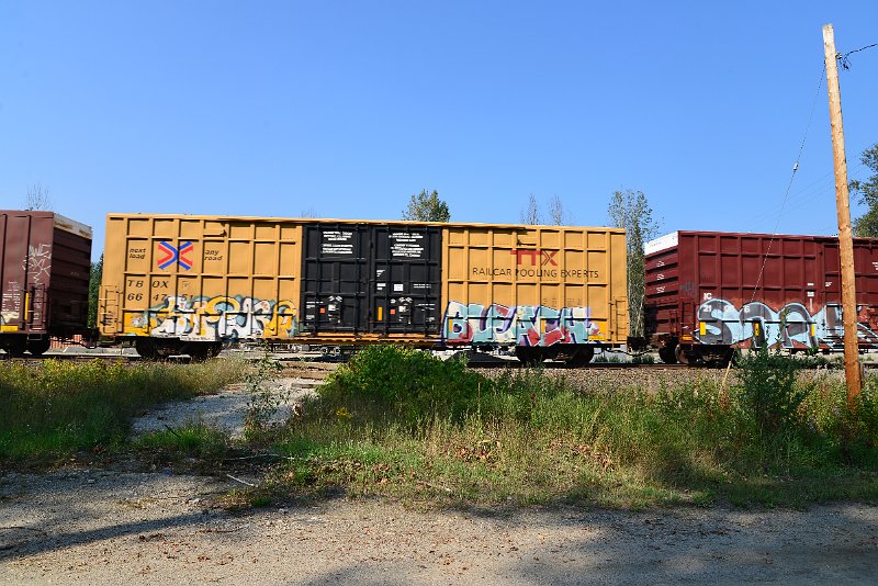 DSC_8213.JPG