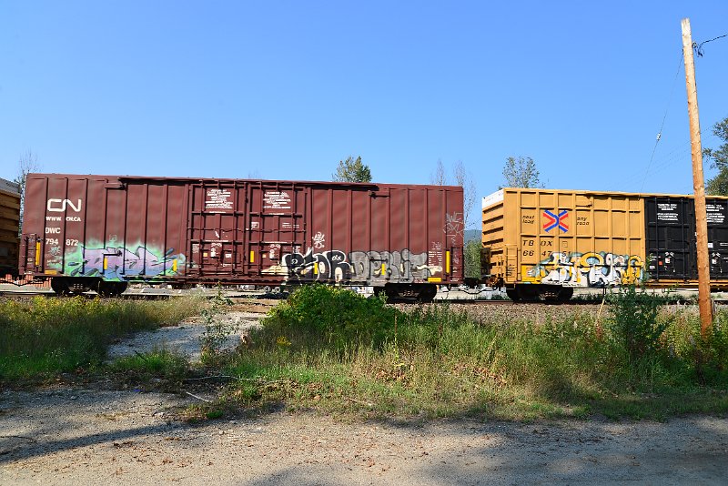 DSC_8214.JPG