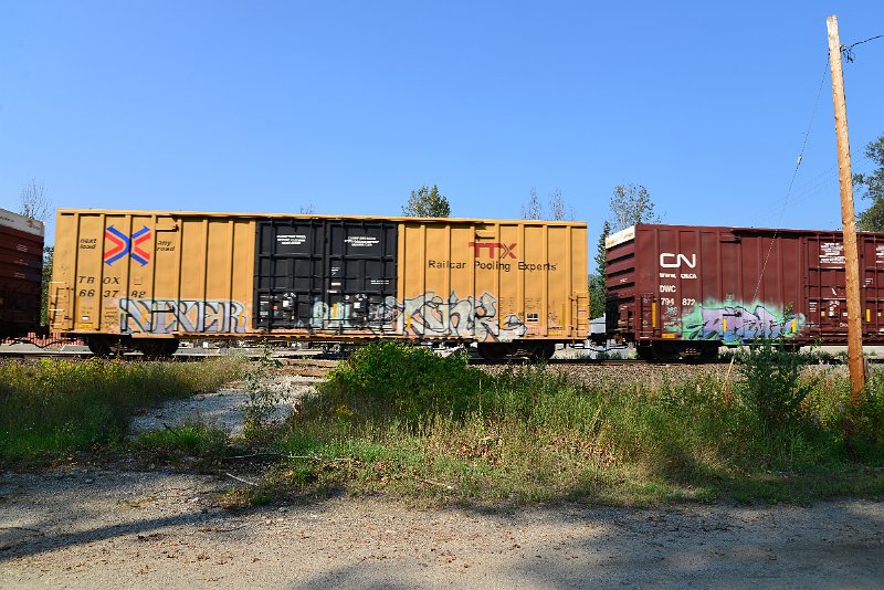 DSC_8215.JPG