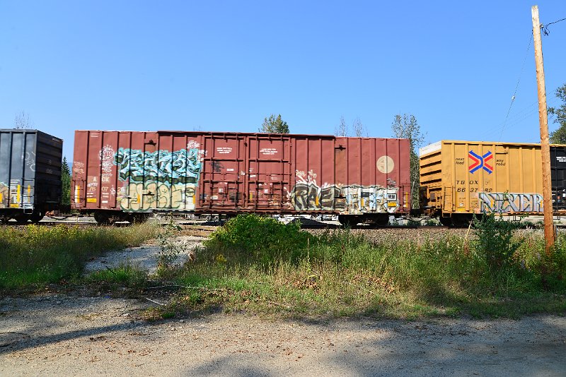 DSC_8216.JPG