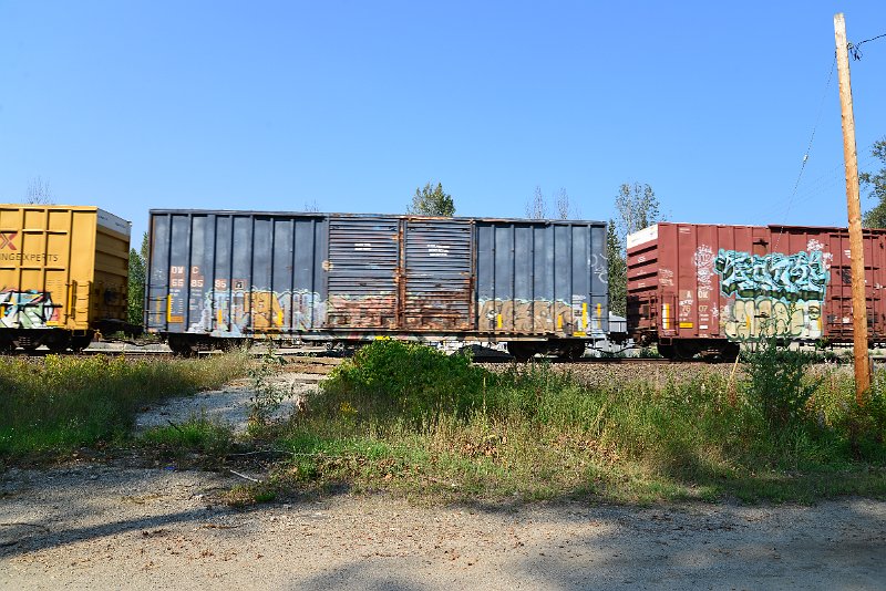 DSC_8217.JPG