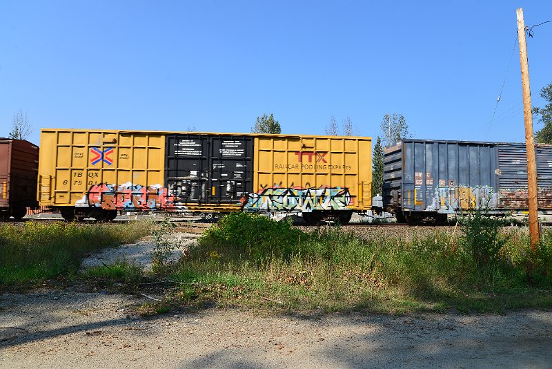 DSC_8218.JPG