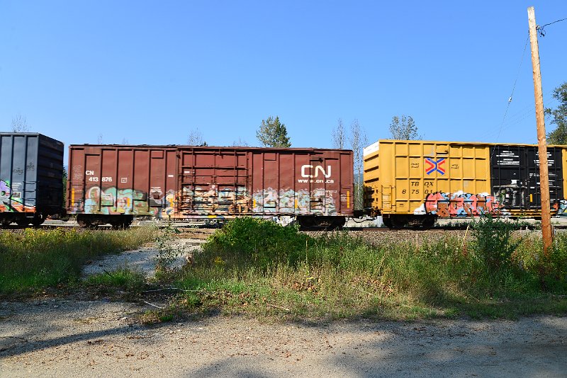 DSC_8219.JPG