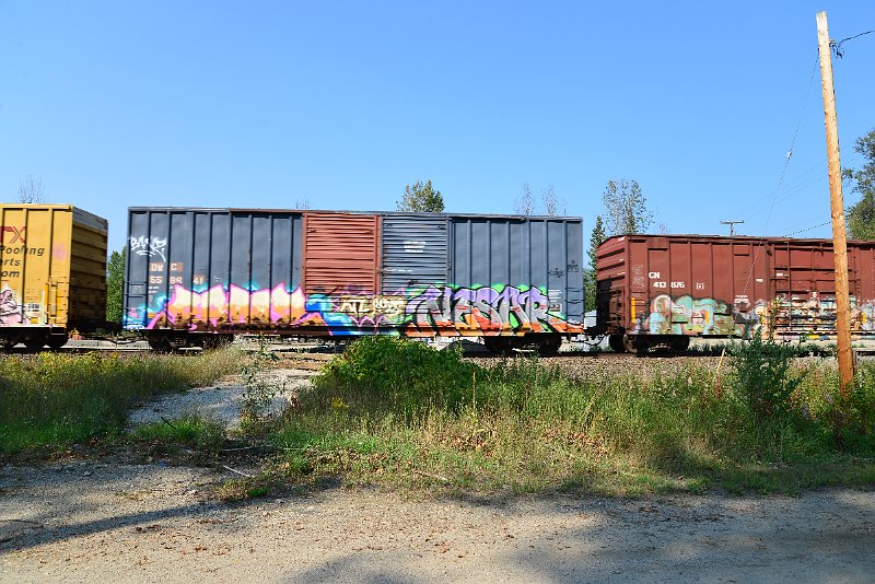 DSC_8220.JPG