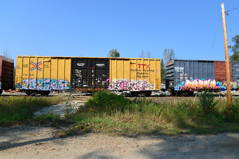 DSC_8221.JPG