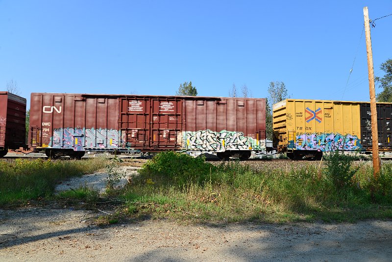 DSC_8222.JPG