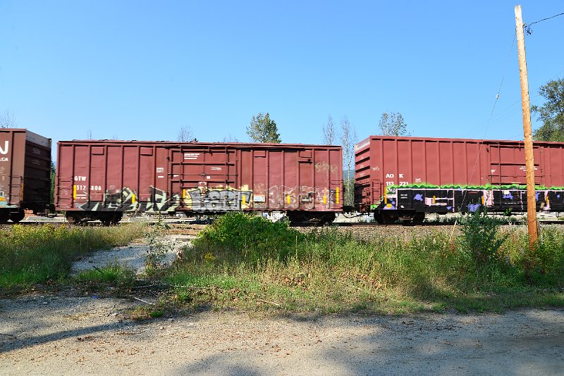 DSC_8224.JPG