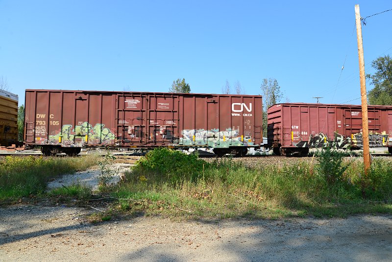 DSC_8225.JPG