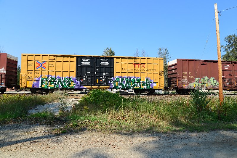 DSC_8226.JPG