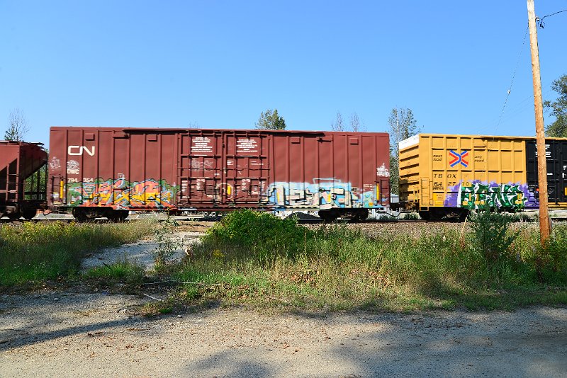 DSC_8227.JPG