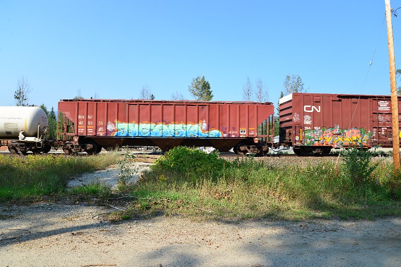 DSC_8228.JPG