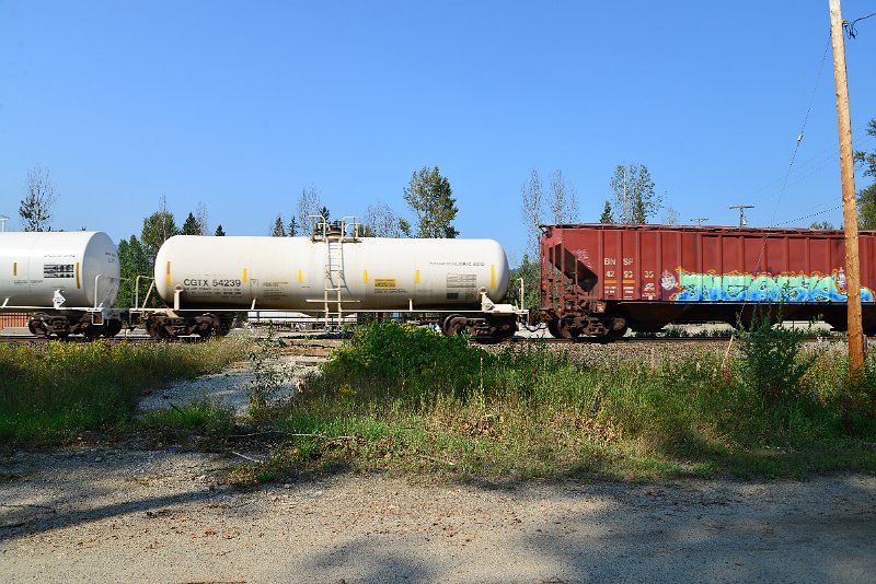DSC_8229.JPG