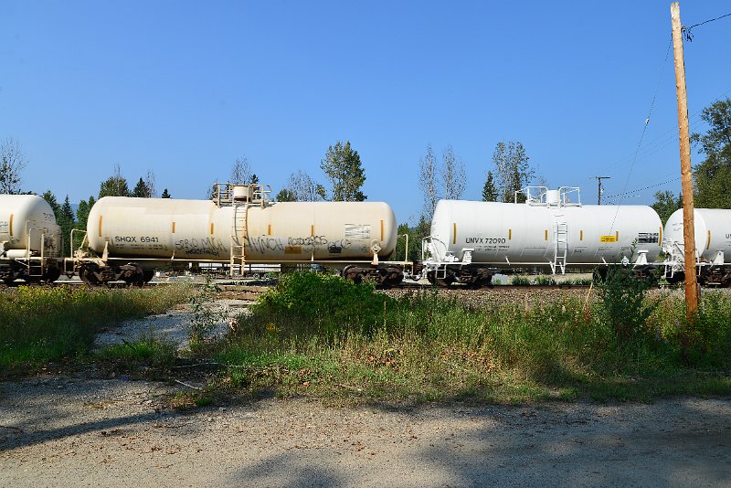 DSC_8232.JPG