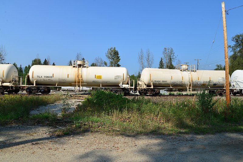 DSC_8233.JPG