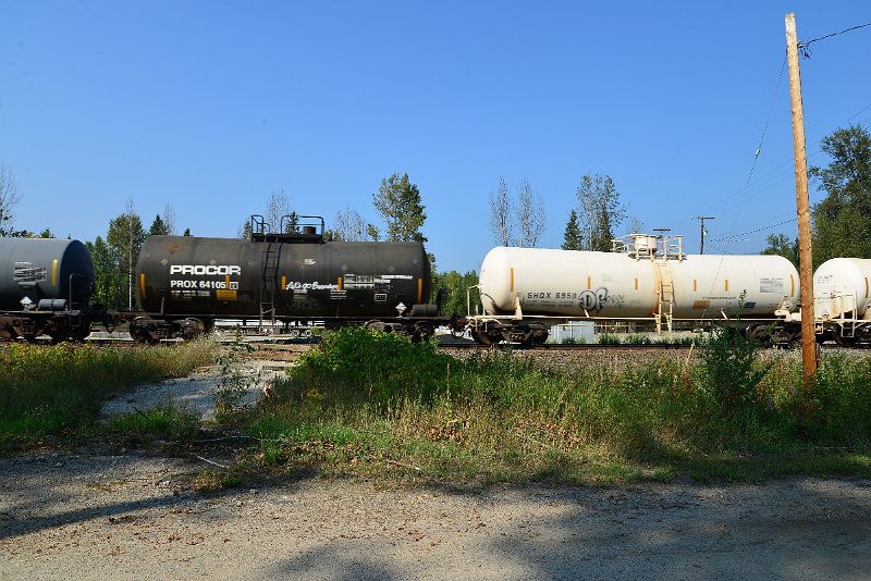 DSC_8235.JPG
