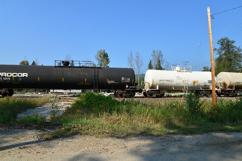 DSC_8244.JPG