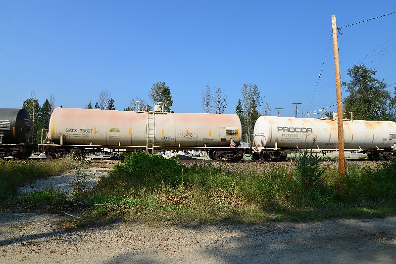DSC_8253.JPG
