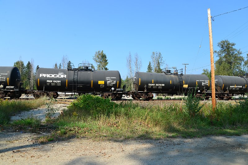 DSC_8256.JPG
