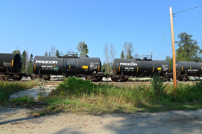 DSC_8257.JPG