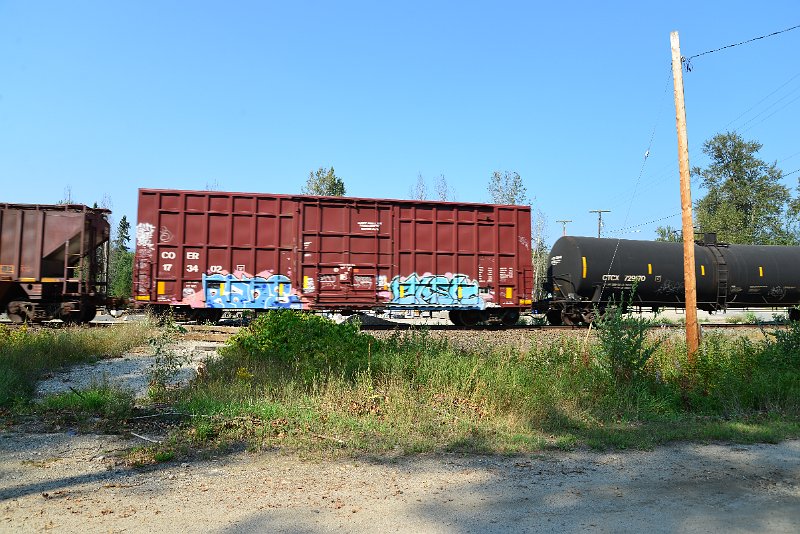 DSC_8259.JPG